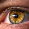 Eye disease treatment tech secures €6.5M funding