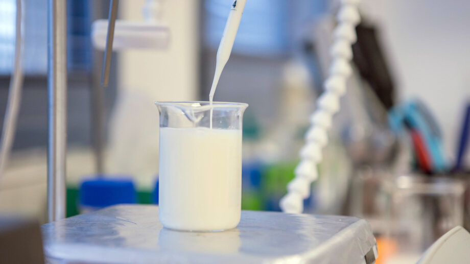 Milk alternatives: Biotech companies explore new options.