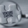 New sector funding opportunities rise as VCs adapt